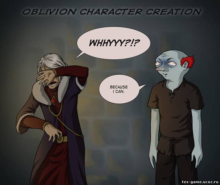 6876886_Oblivion__Character_Creation_by_TheMinttu